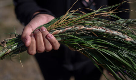 A hand holding braids of sweetgrass
