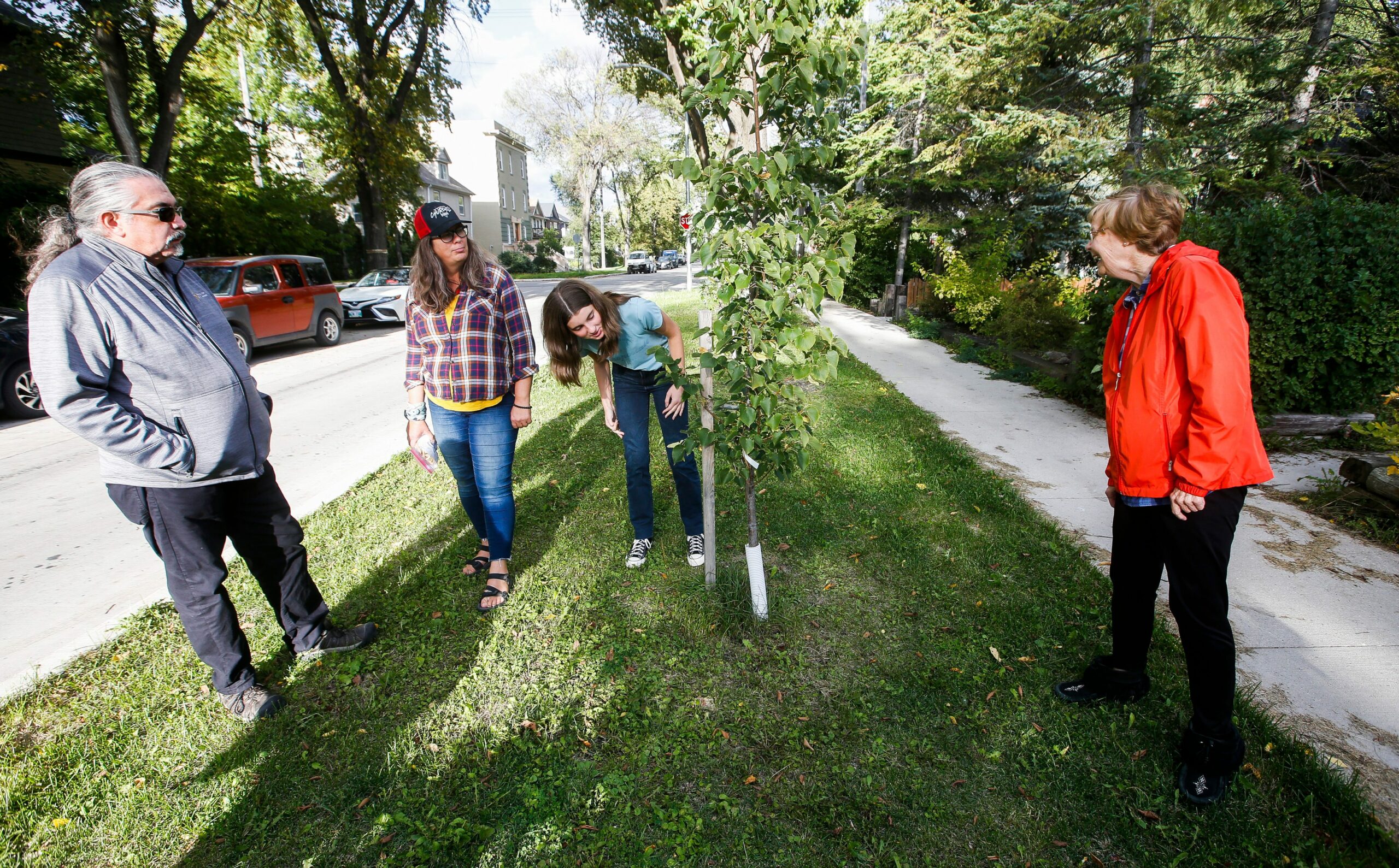 Three members of the Mulvey Trees group stand around a sapling they planted. One person leans down to inspect the tree while the other three look on