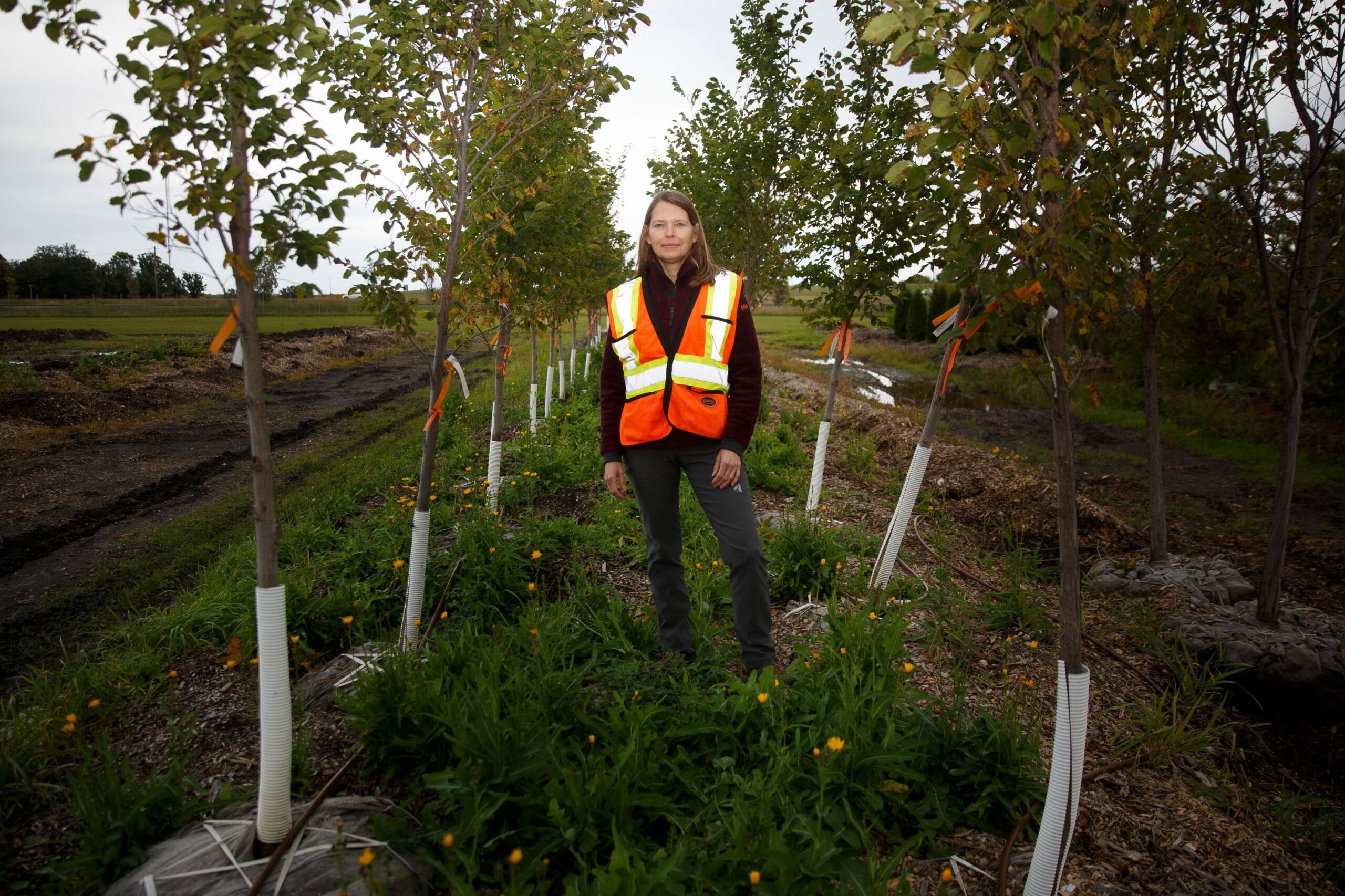 Forester Martha Barwinsky wears a reflective vest as she stands among saplings at the city's tree nursery
