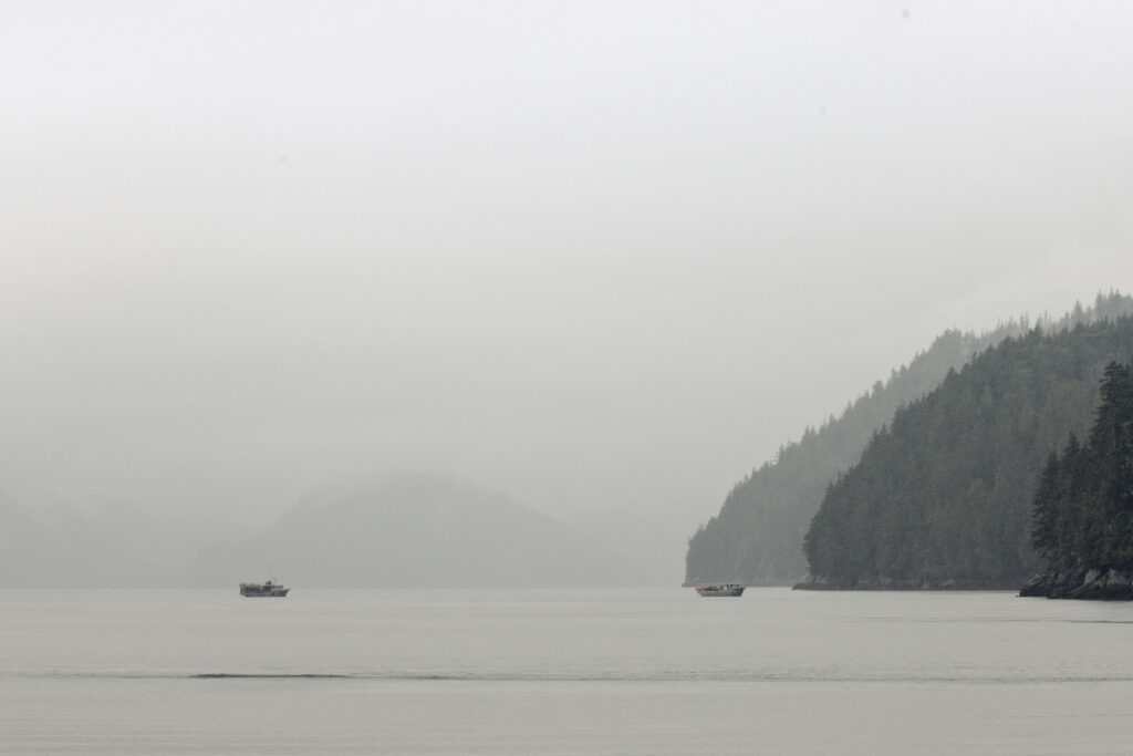 Knight Inlet prawn fishing boats are visible in the distance against grey water and grey sky, with mountains faded in the fog in the background.