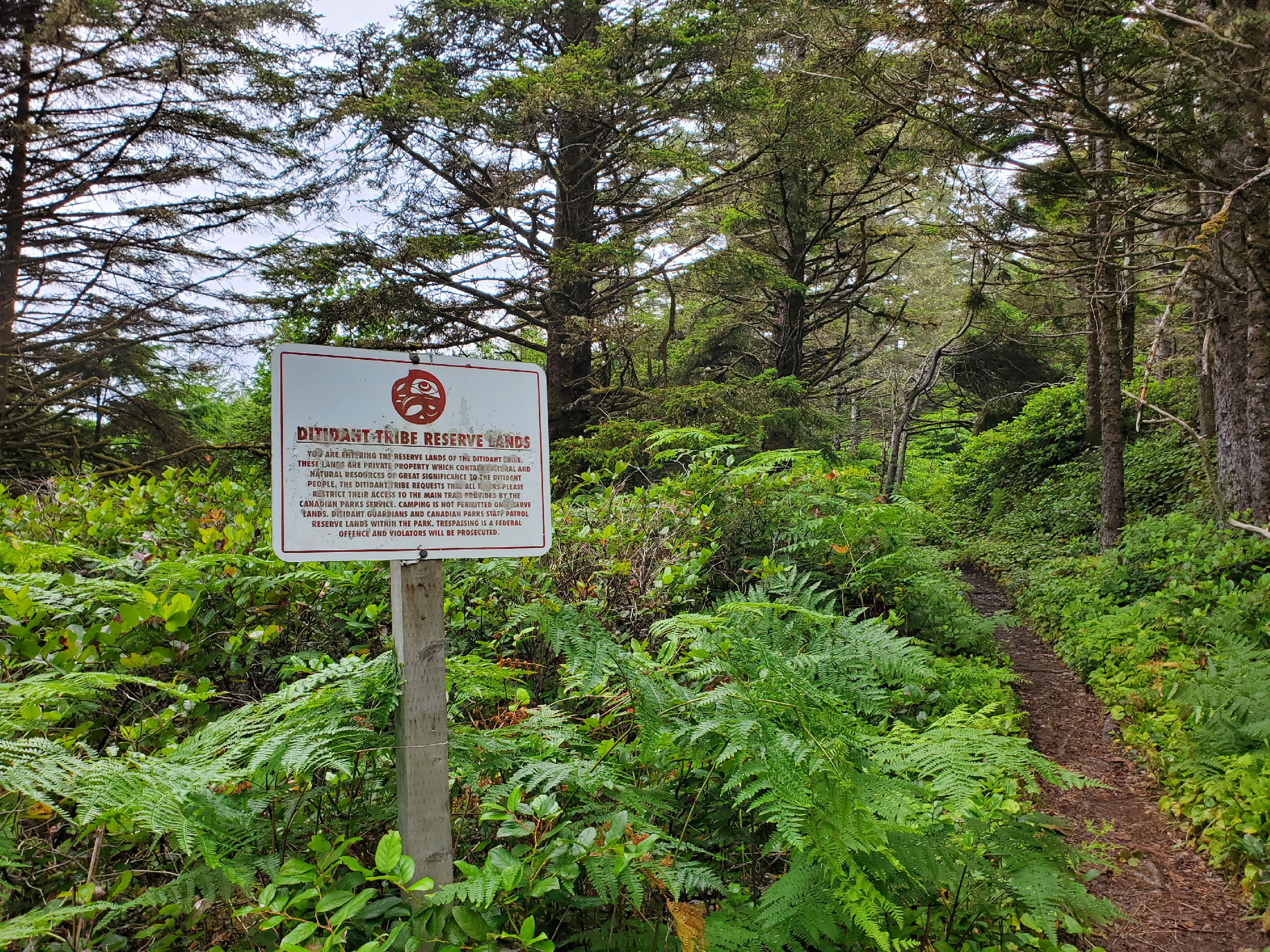A sign notifying hikers that they are now entering Ditidaht lands.