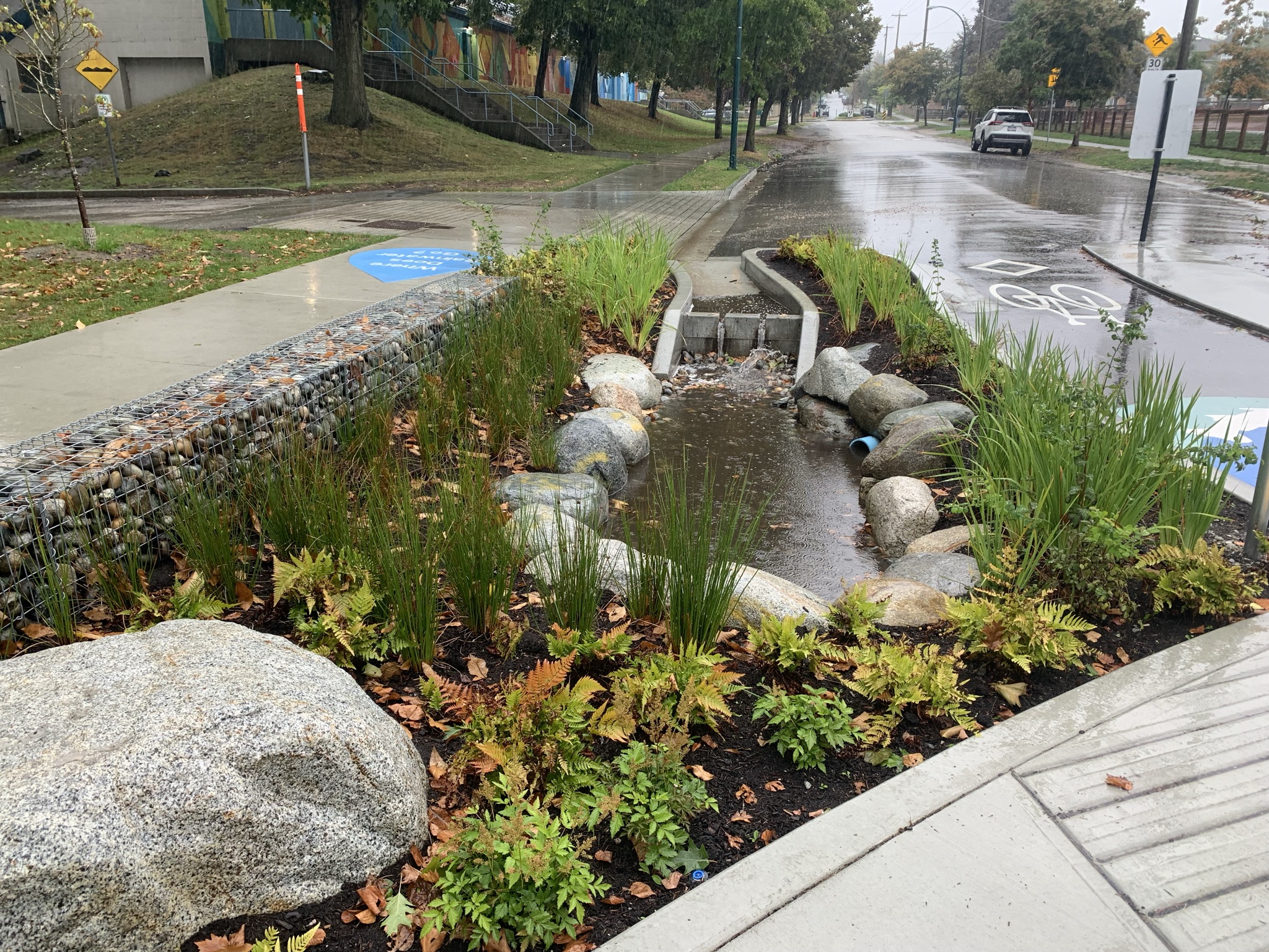 Vancouver's Mount Pleasant builds 'rainway' to prevent flooding | The ...