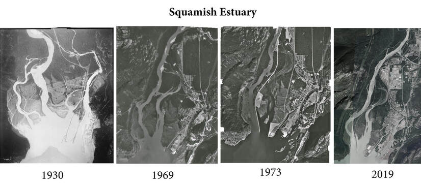 Squamish estuary: The once sprawling Skwelwil’em seen on the left. In the third photo, one can see the long straight line of the Squamish spit. Not only does the spit block salmon, it blocks sediment. Without natural sediment deposit, an estuary's ability to attenuate waves and mitigate floods is inhibited. Photo: provided by the Squamish River Watershed Society