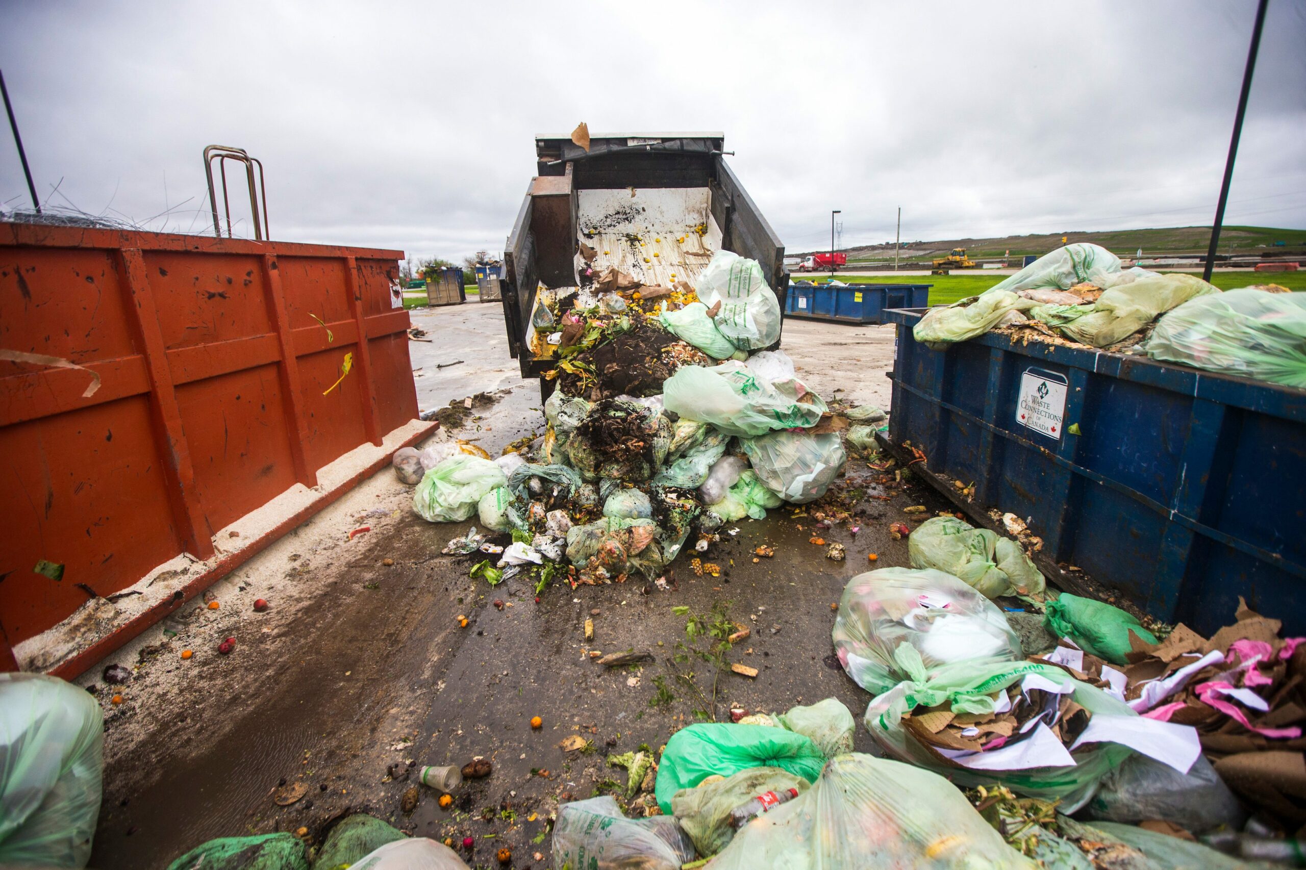 Compost in green bags tips out the back of a semi truck at a Winnipeg landfill