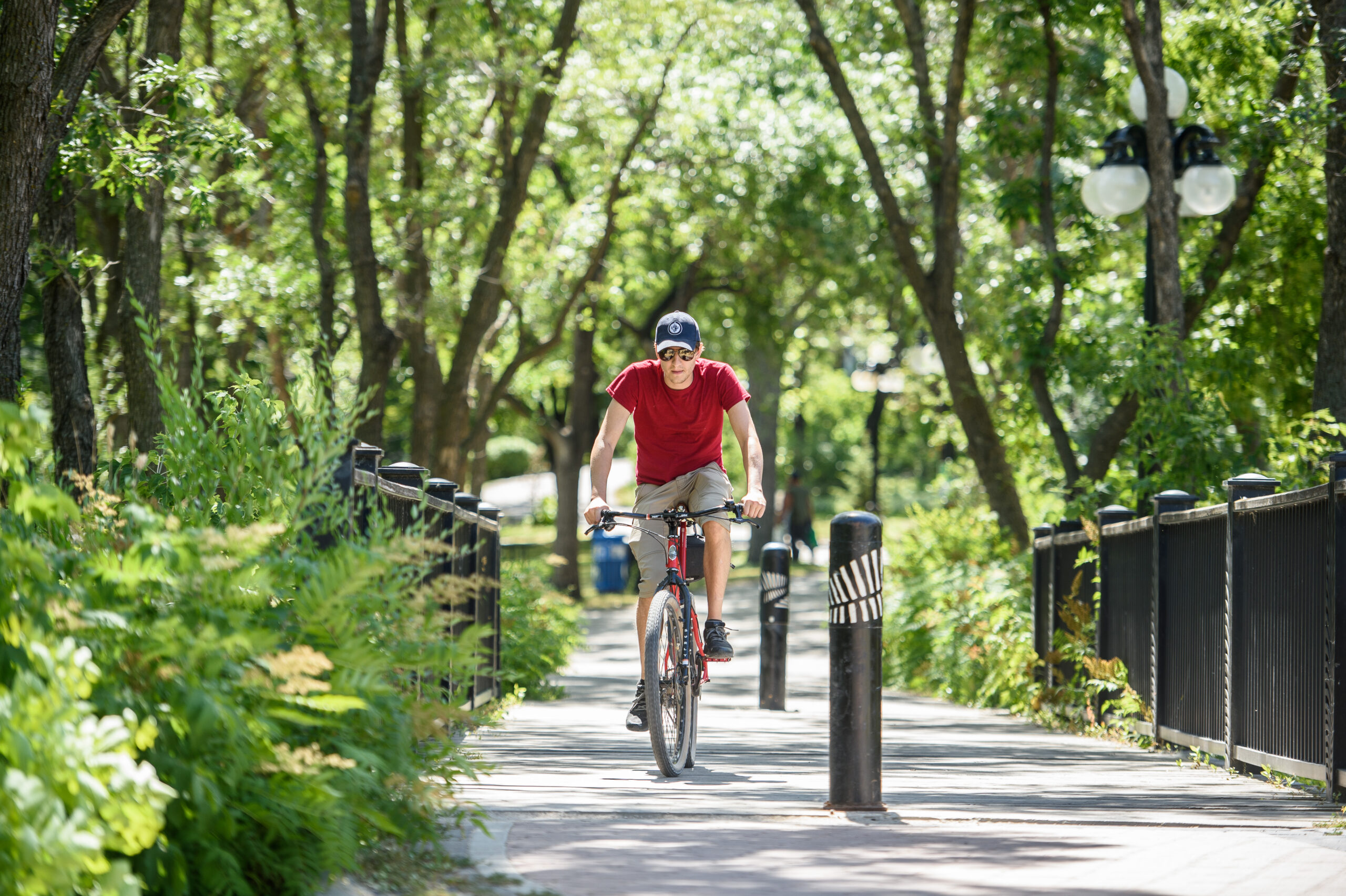 A man in a red shirt and blue cap cycles across a bridge surrounded by trees in a Winnipeg park