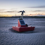An animatronic bird pf prey sits in an oilsands tailing pond