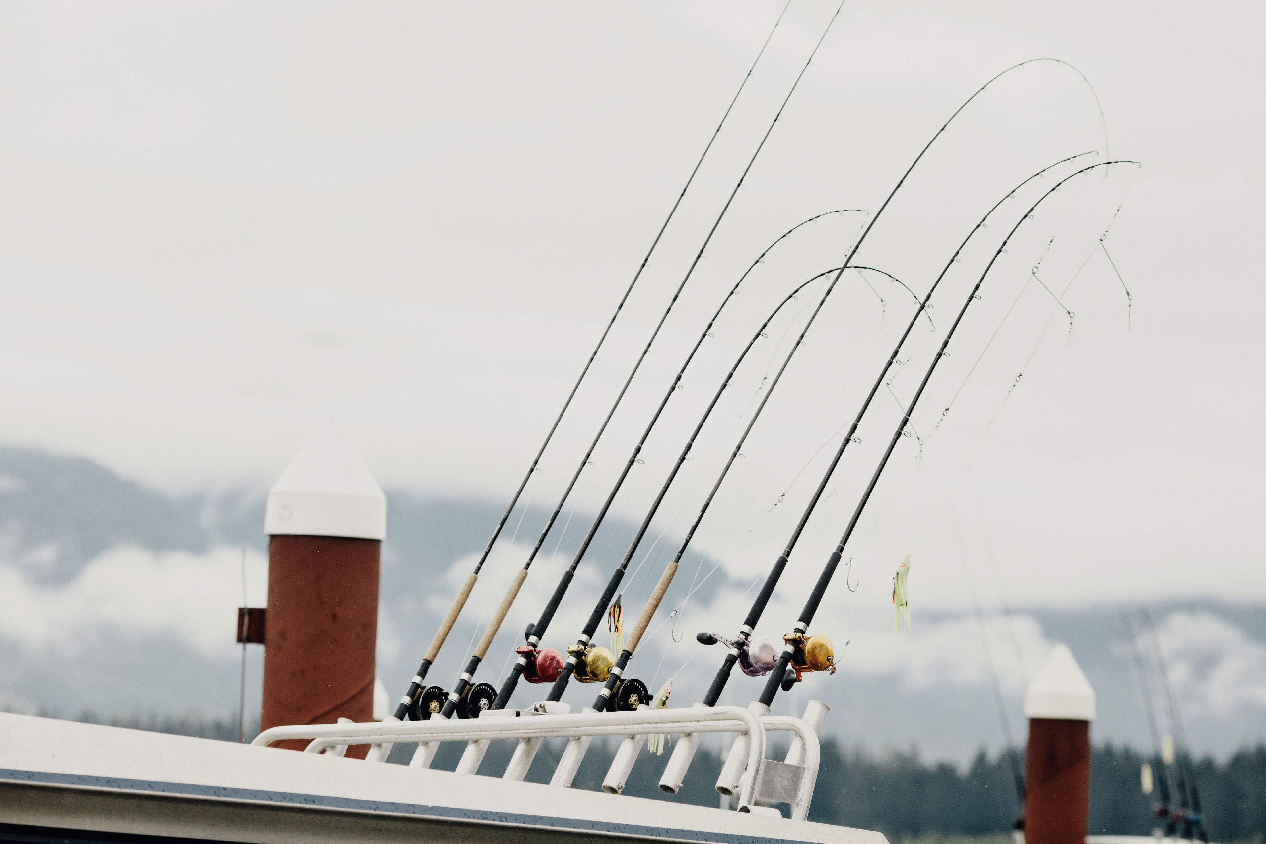 Fishing rods mounted on the back of a boat in Port Renfrew, British Columbia. On the Pacific coast, there is a lack of species at risk act status for wild Pacific salmon populations.
