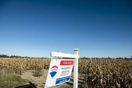 Sale signs near farmland in Stoney Creek, Ont.