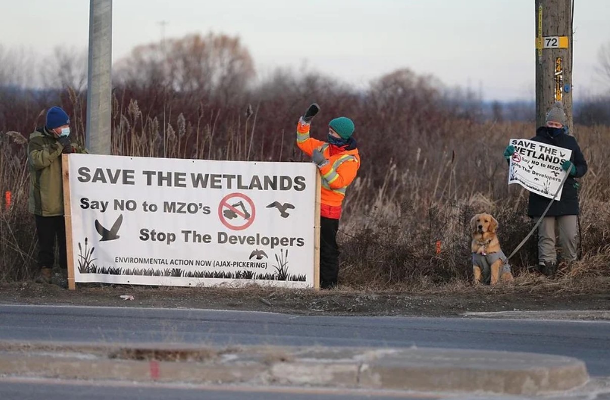 People protesting a government order to develop wetland in Pickering