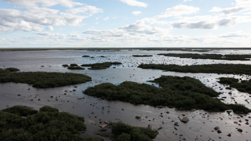 Aerial photo over an estuary landscape with wet sand, rocks and patches of vegetation. The sky is bright with clouds.