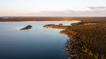 Aerial photo of Seal River watershed forest at sunset