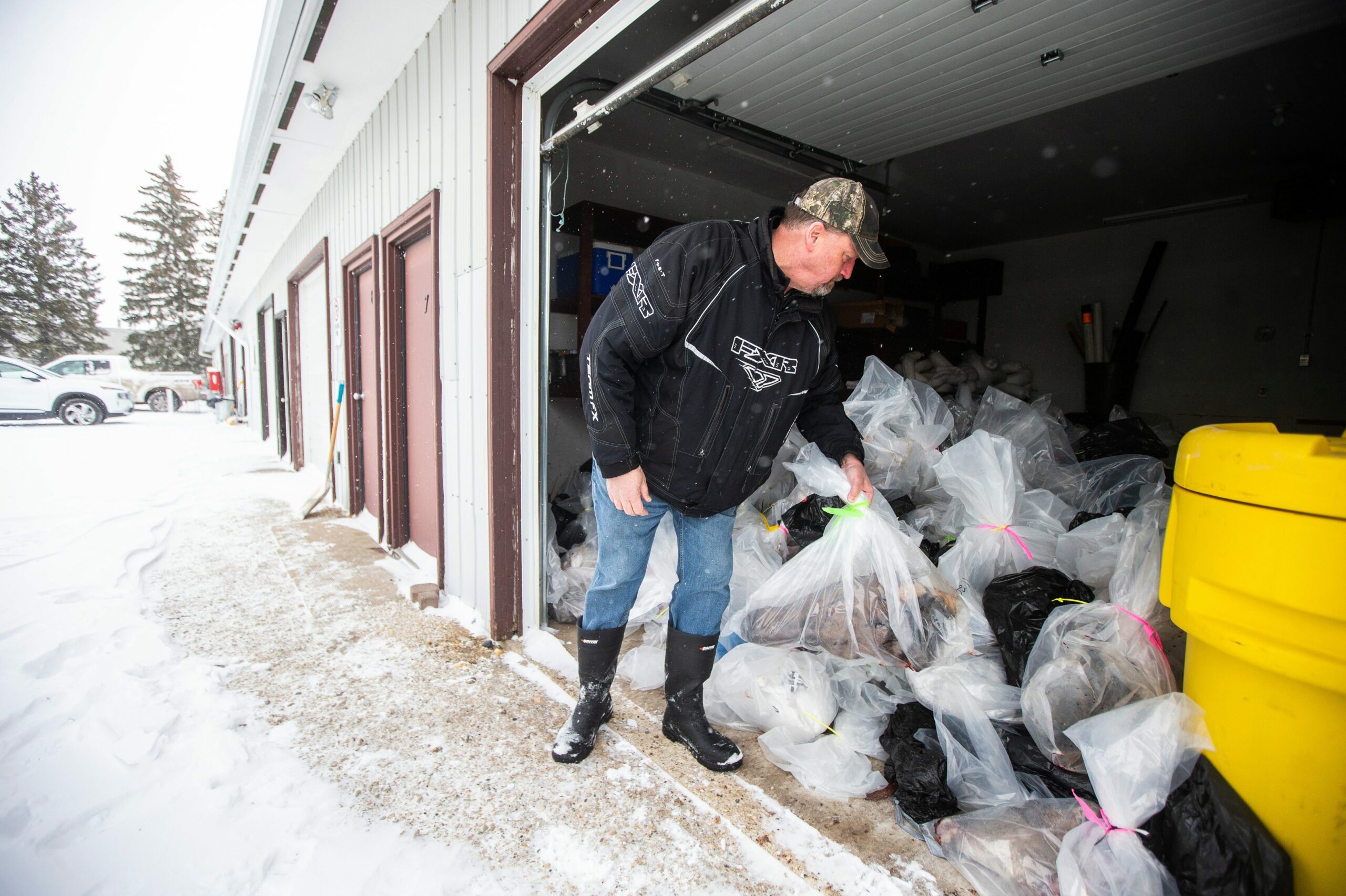 Wildlife health biologist Richard Davis shows a pile of frozen deer heads awaiting chronic wasting disease testing at Manitoba's wildlife health lab