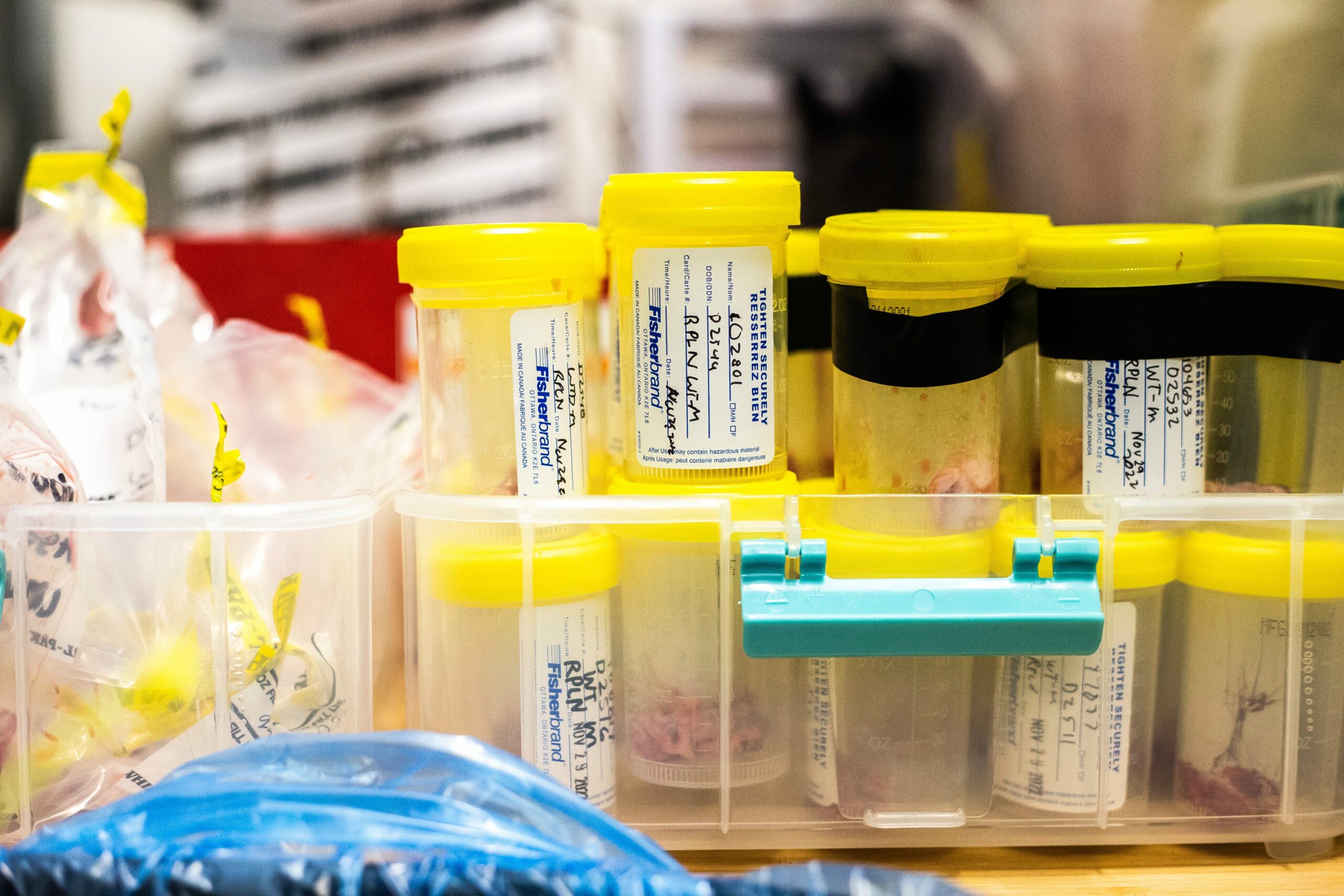 A stack of bottles with yellow caps and white labels hold cervid tissue samples that will be tested for chronic wasting disease