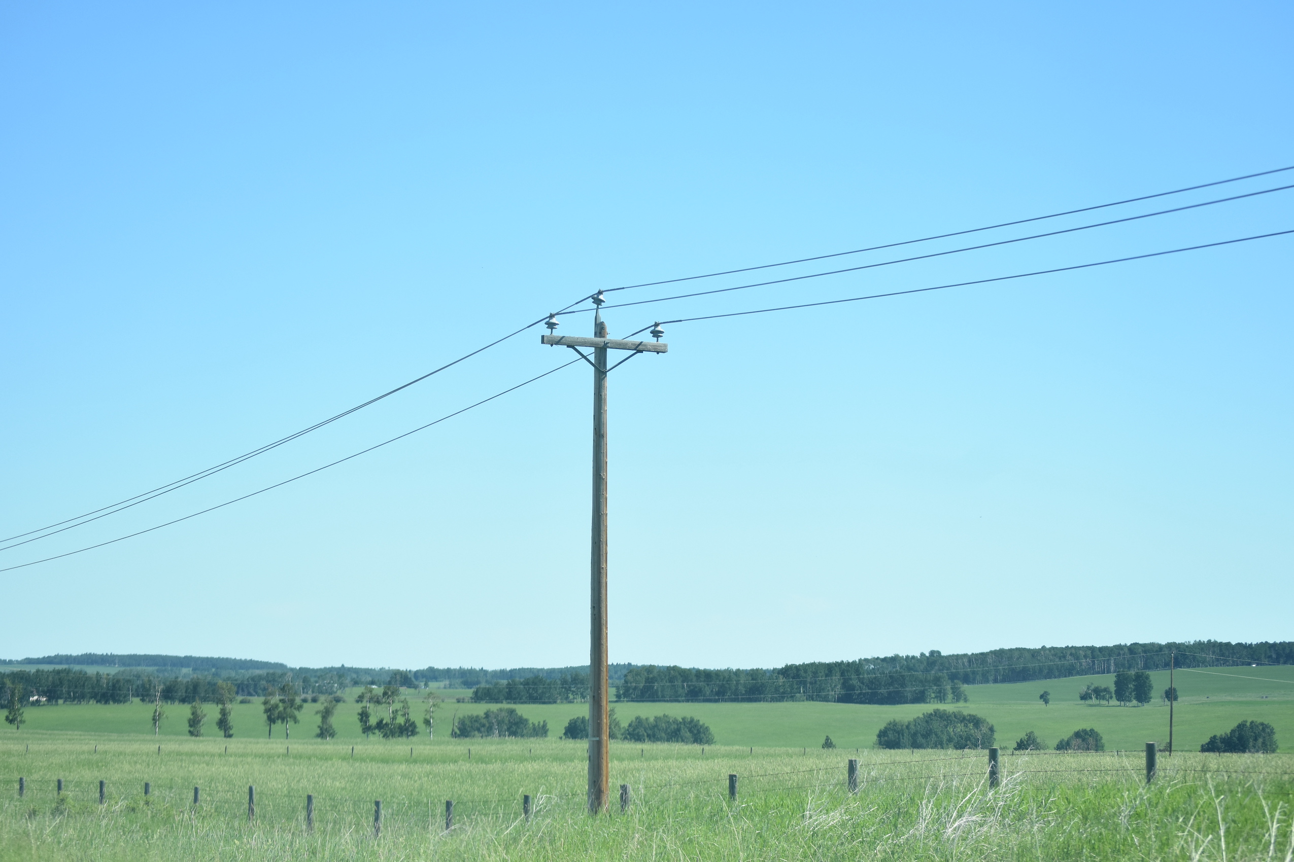 Alberta power lines in a prairie field before a clear blue sky
