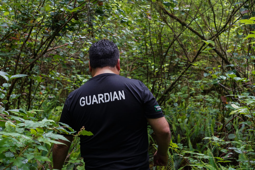 Tla-o-qui-aht Tribal Parks project coordinator Terry Dorward walks through a lush old-growth forest in his territory