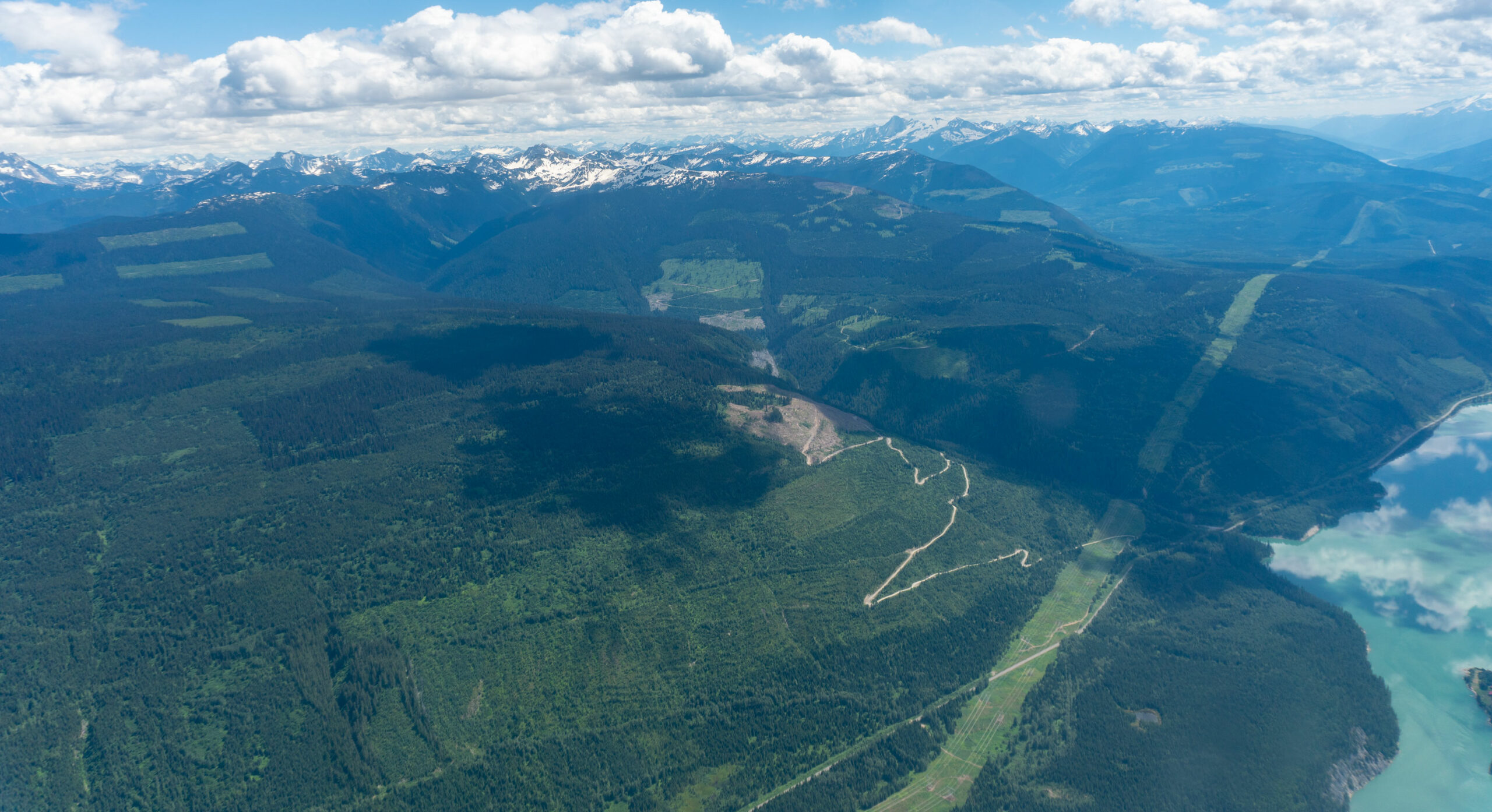 aerial view of Columbia North caribou habitat