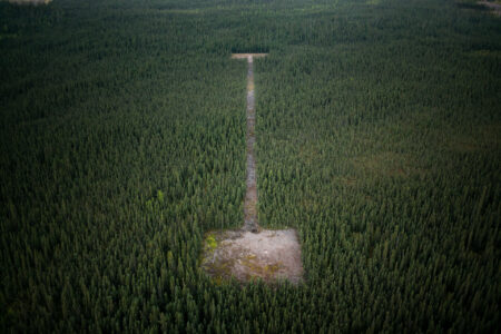 Cuts in the boreal forest as part of oil and gas exploration activities in northern Alberta