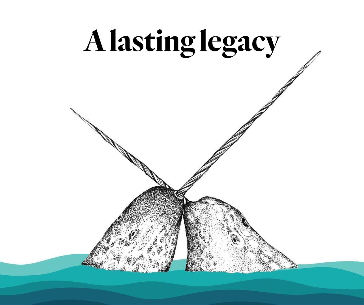 An illustration of two narwhals crossing tusks with the title: A lasting legacy.