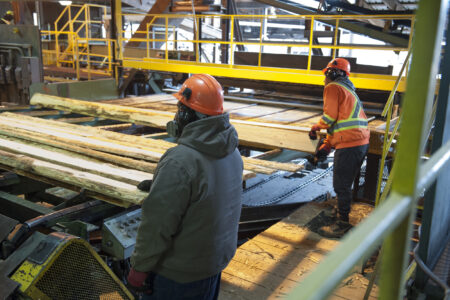 Mill workers, wearing hardhats and respirators, operate a selection line at the Kitwanga sawmill