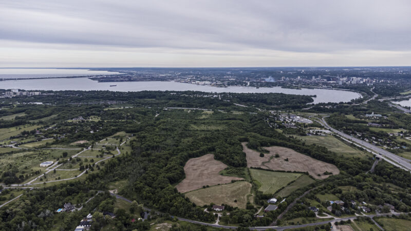 An aerial view of a developed city surrounded by trees with a large lake in the horizon