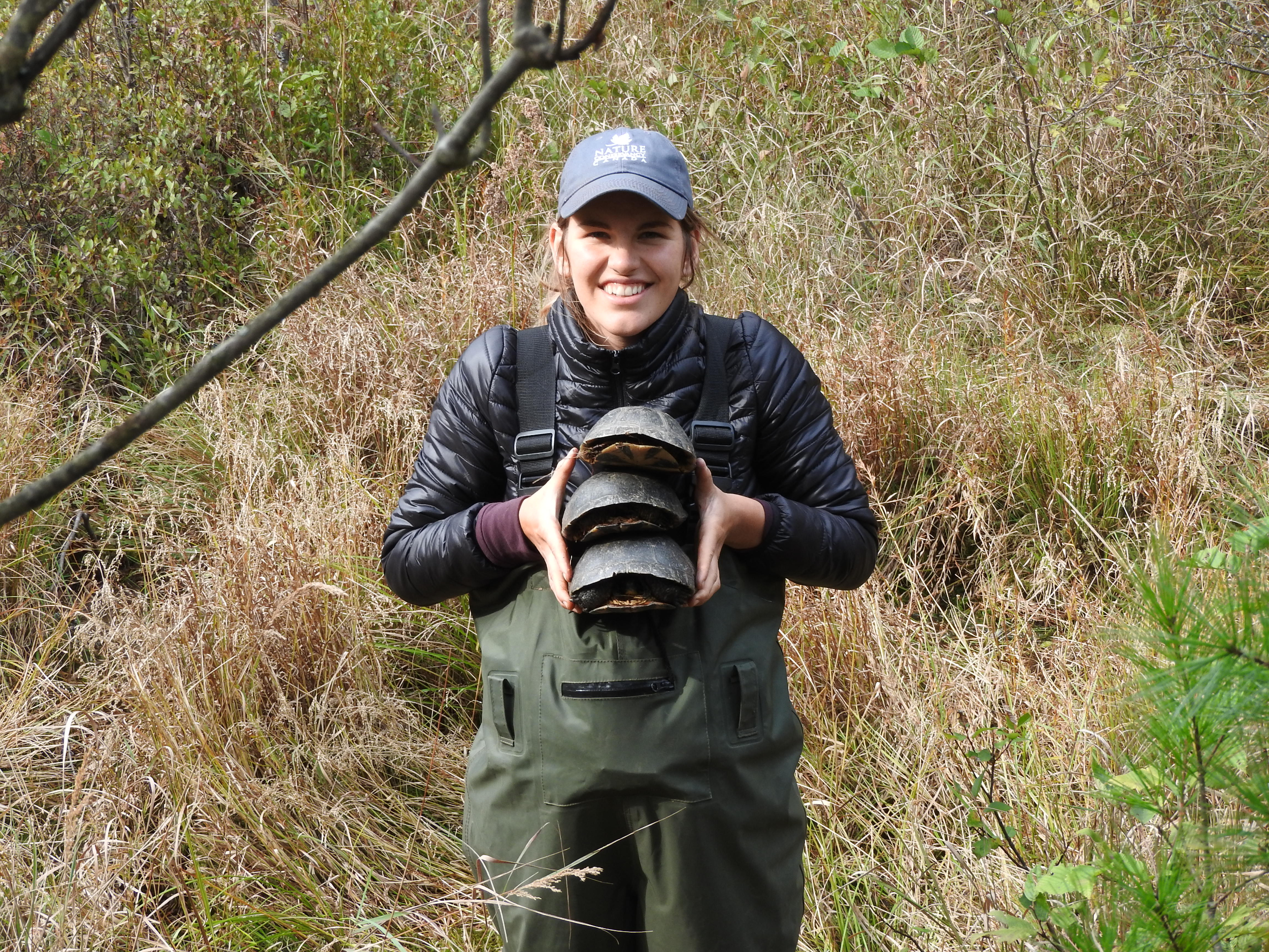 A woman in chest waders holds a stack of three turtles