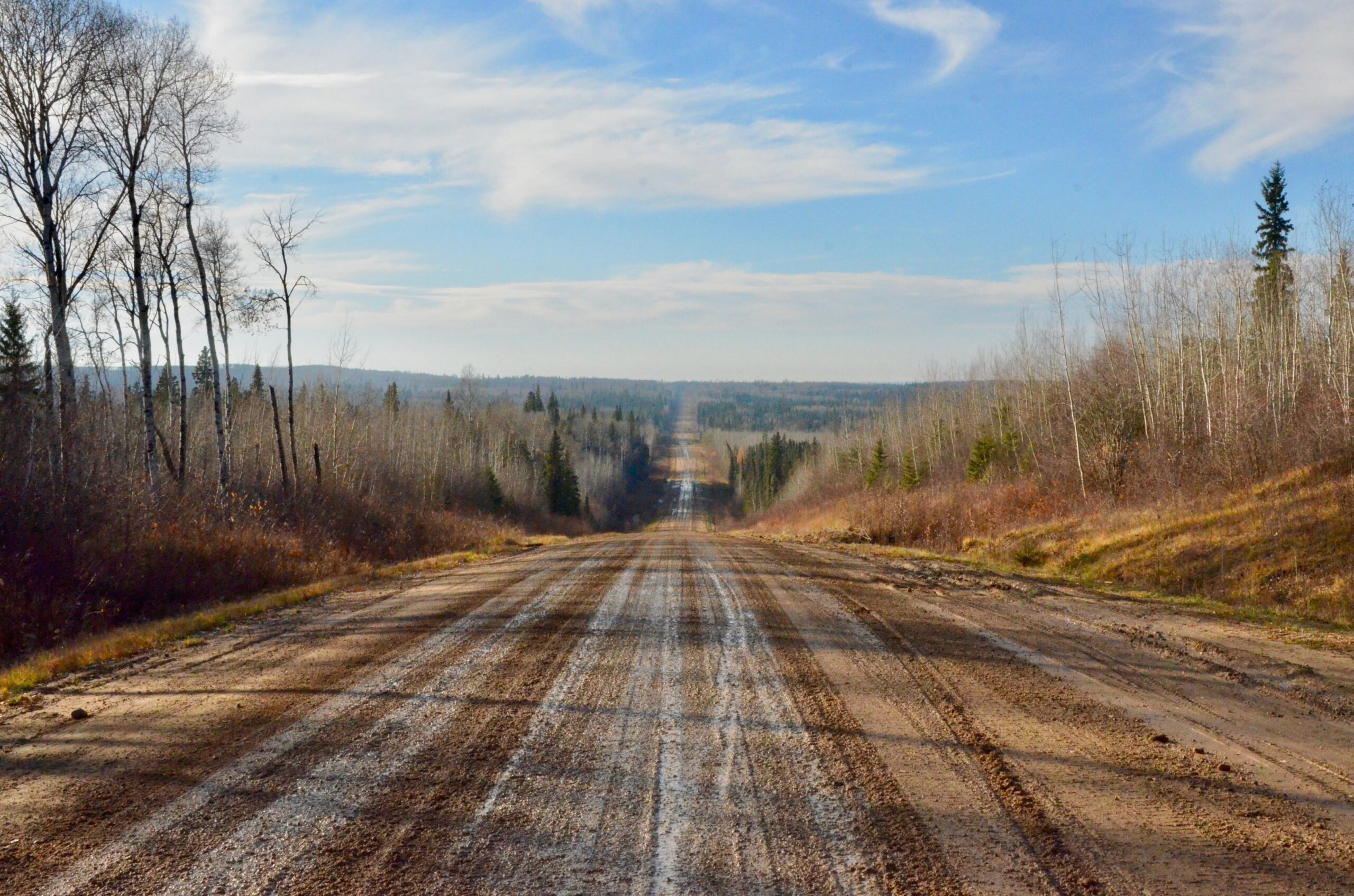 A photo of a road through the Wood Buffalo National Park