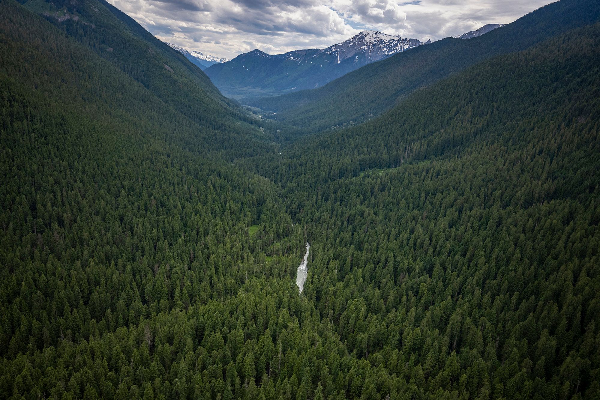 Incomappleux Valley conservancy