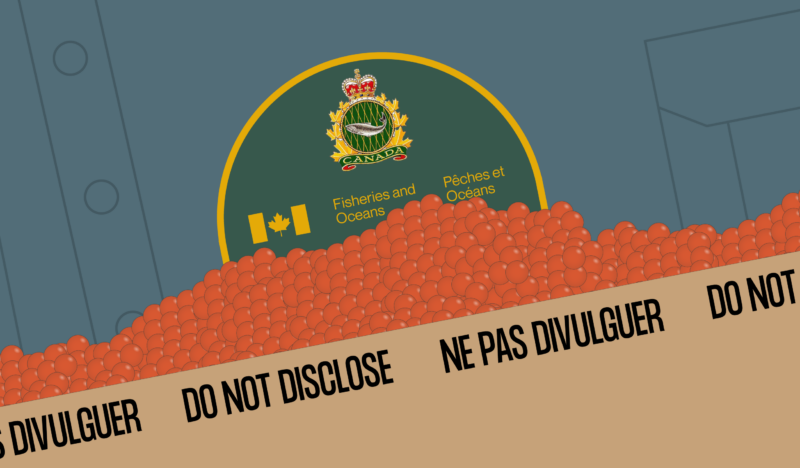 An illustration of salmon eggs in a box marked 'do not disclose / ne pas divulguer' in front of a Fisheries and Oceans Canada logo