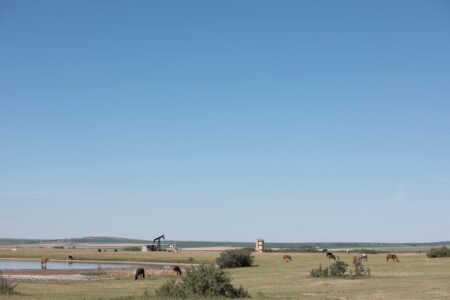 Oil and gas wells and horses in Alberta field