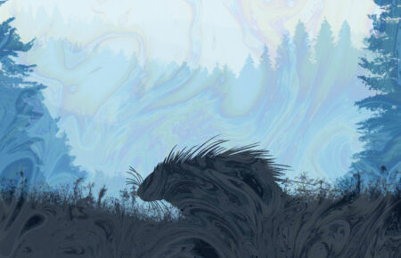 Illustration of porcupine