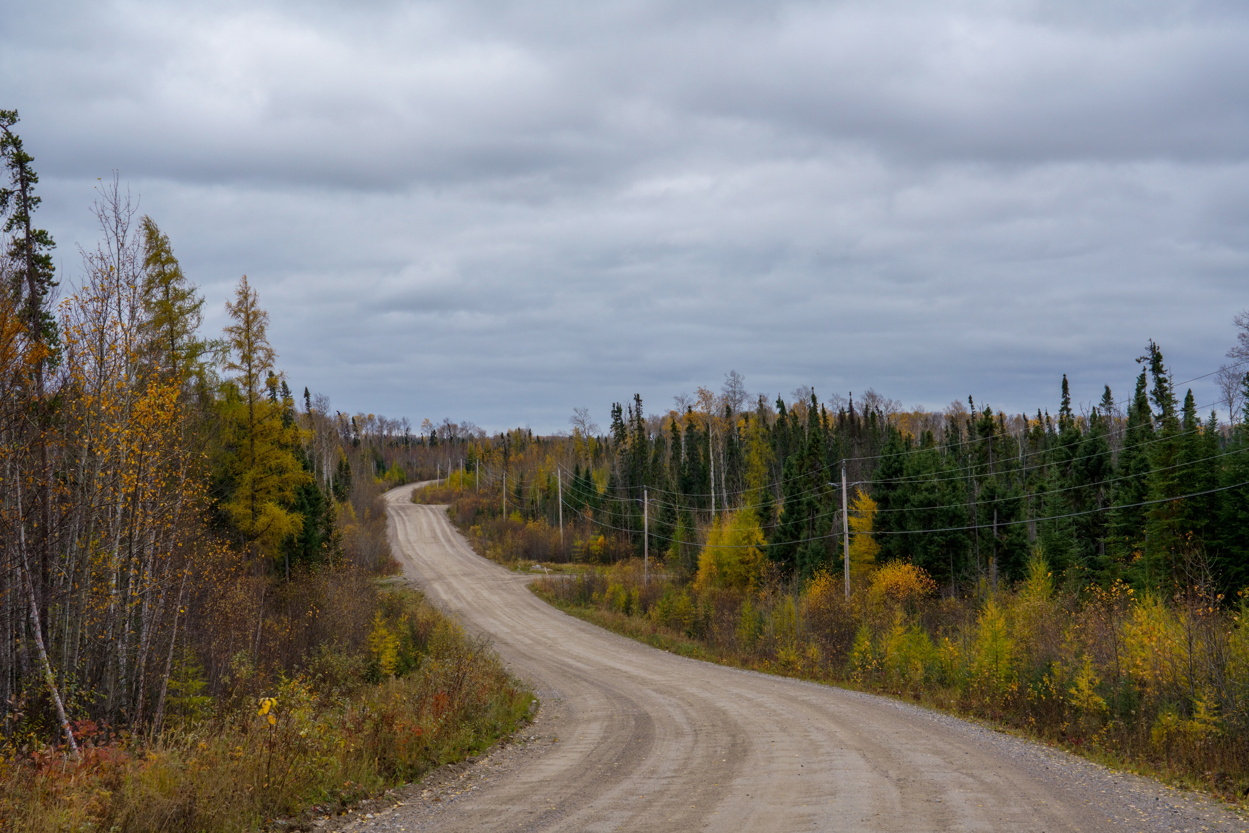 Ontario Ring of Fire: A bend in a road through forest