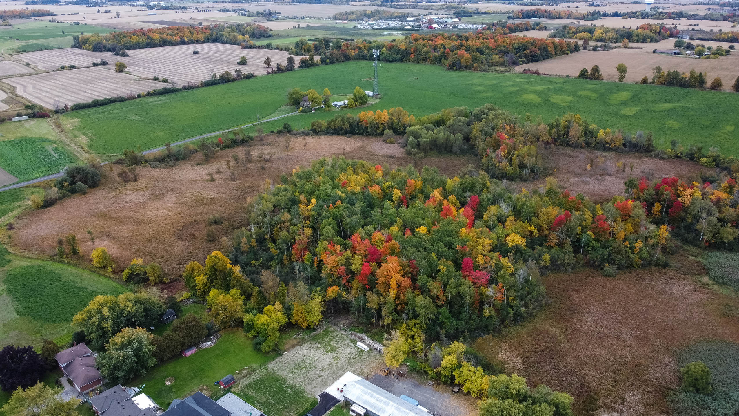 Fall foliage and farmer's fields seen from above
