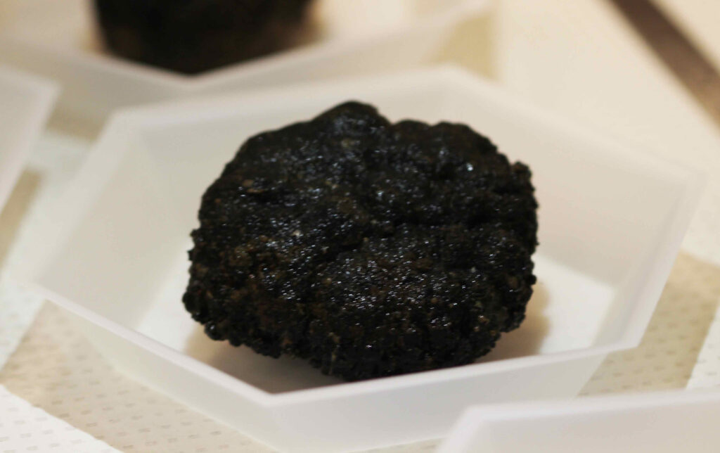A manganese nodule, which looks a bit like a lump of coal the size of a potato. Deep sea mining companies are interested in these types of nodules as a source of metals for batteries