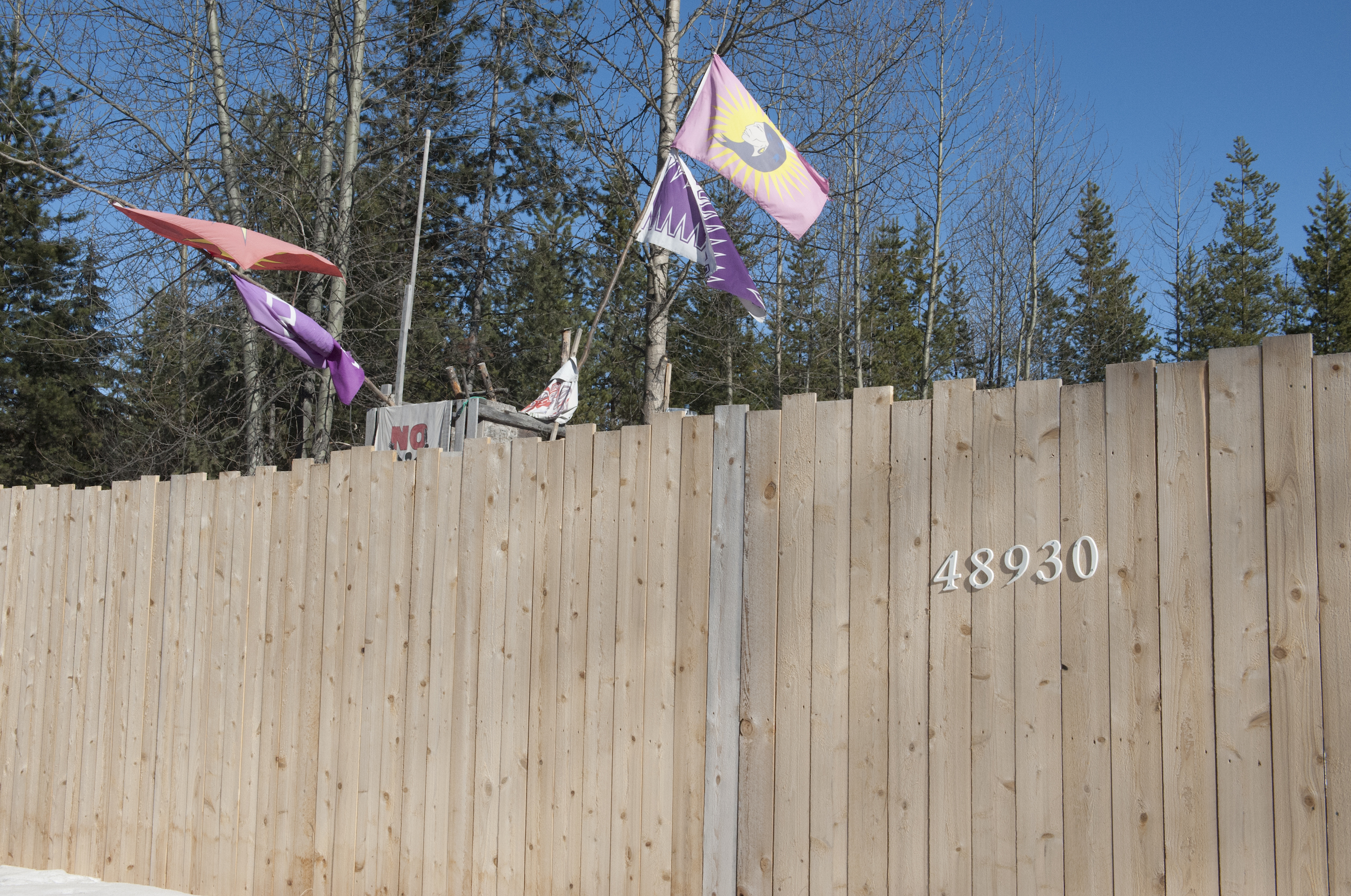 Indigenous flags fly above a fence at the Gidimt'en camp on Wet'suwet'en territory
