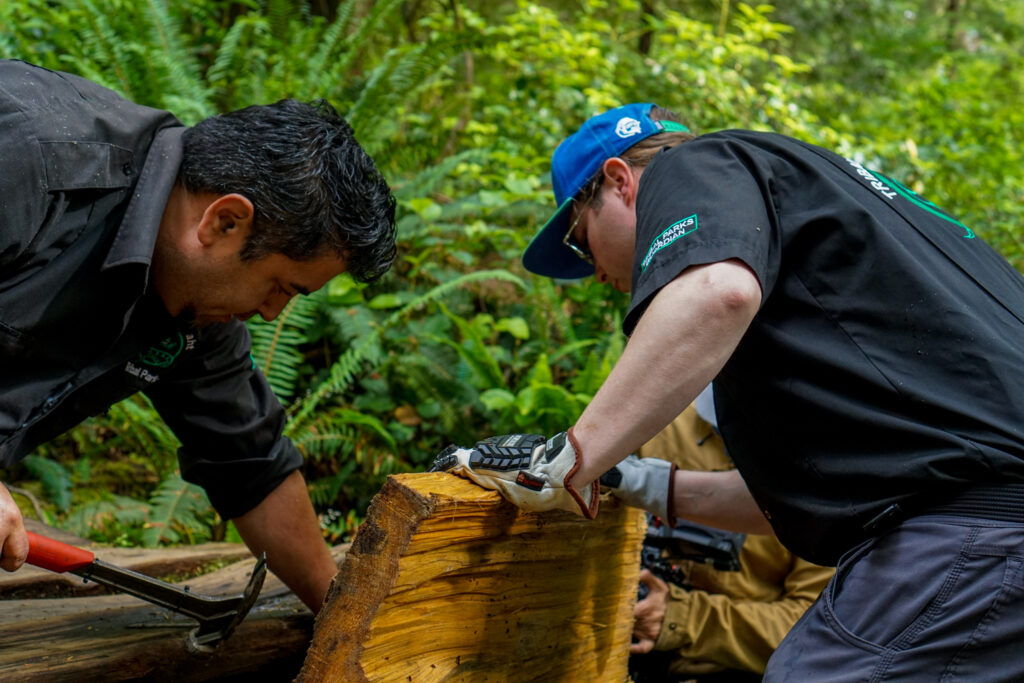 Guardians repair the Big Tree Trail, near Tofino, B.C.
