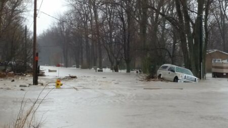 Recent changes to conservation authority powers mean the watershed management bodies can no longer review applications that could impact significant woodlots, valley lands, fish habitat or species at risk, even though many of those concerns are intertwined with leaving land able to absorb water.