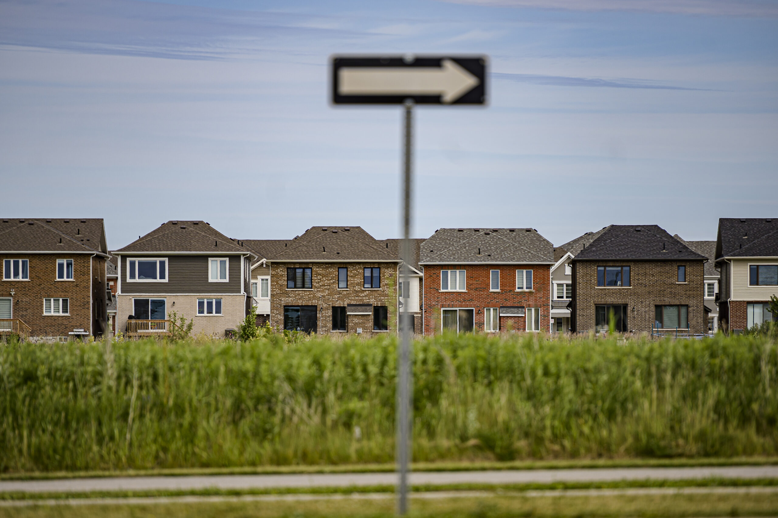 Ontario Greenbelt: a line of houses behind tall grass