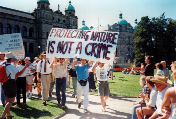 Throughout the War in the Woods demonstrators gathered at the parliament buildings in Victoria, B.C.