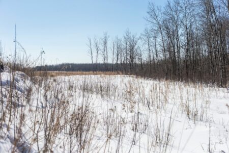 The snowy field where Sio Silica plans to build a silica sand processing facility near Vivian, Manitoba