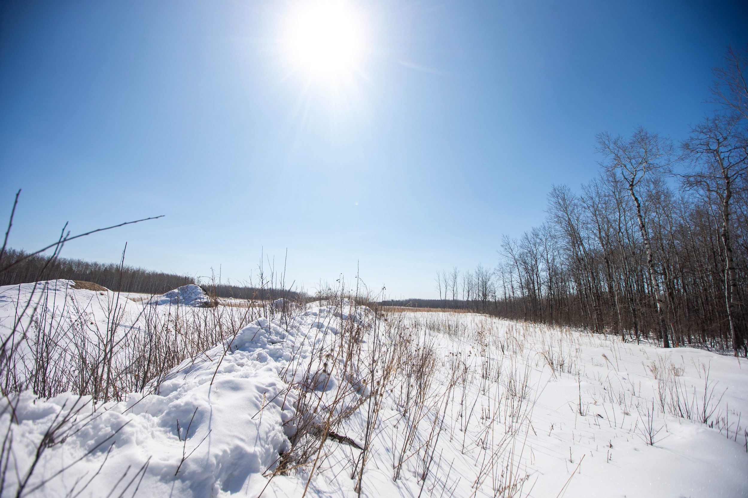A snow filled clearing where Sio Silica plans to build a silica sand processing facility near Vivian, Manitoba