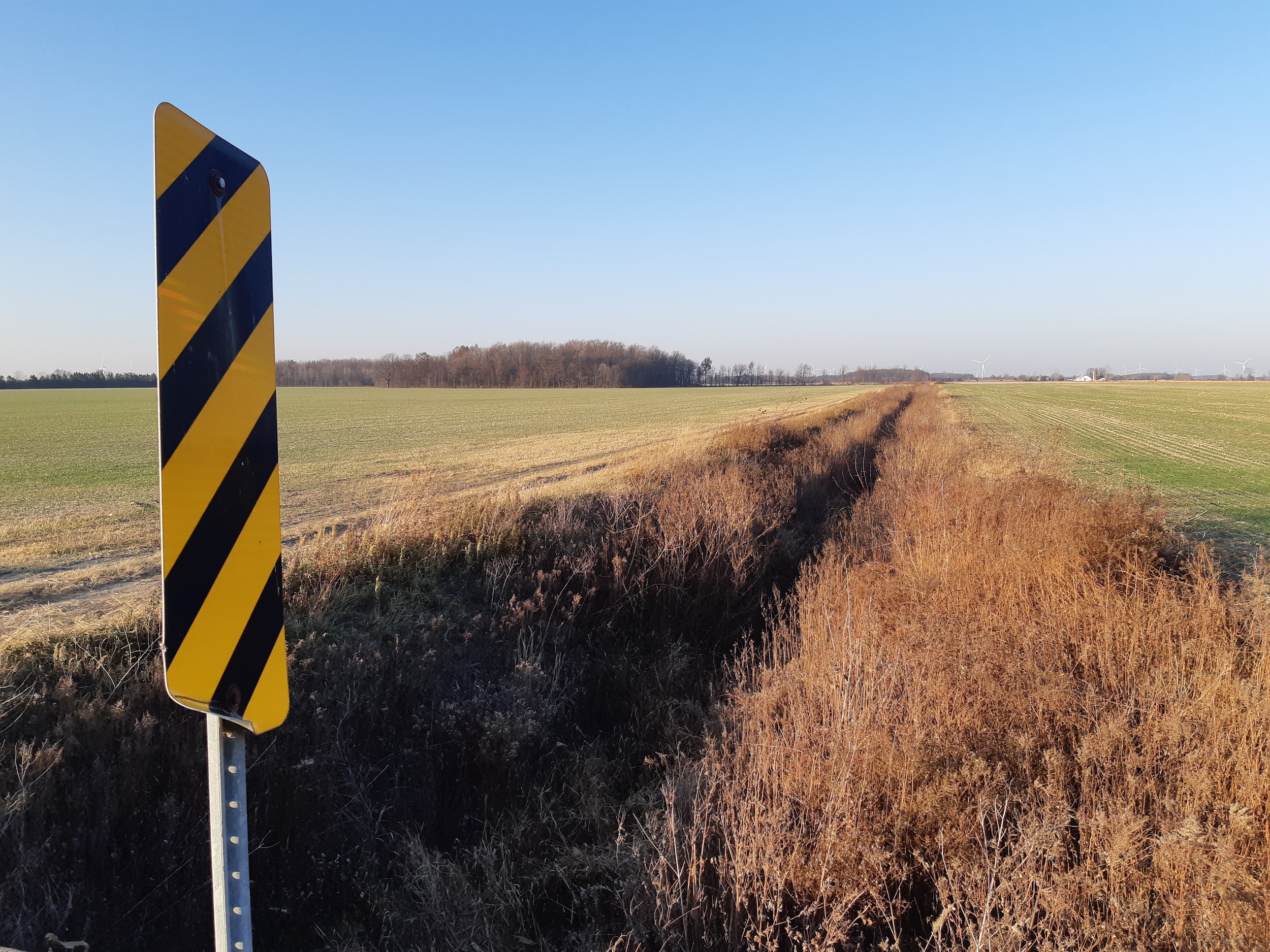 Municipal governments in Ontario have a habit of dredging and clear-cutting vegetation around ditches, which doesn’t exactly inspire landowners to make long-term investments in field edges along such waterways.