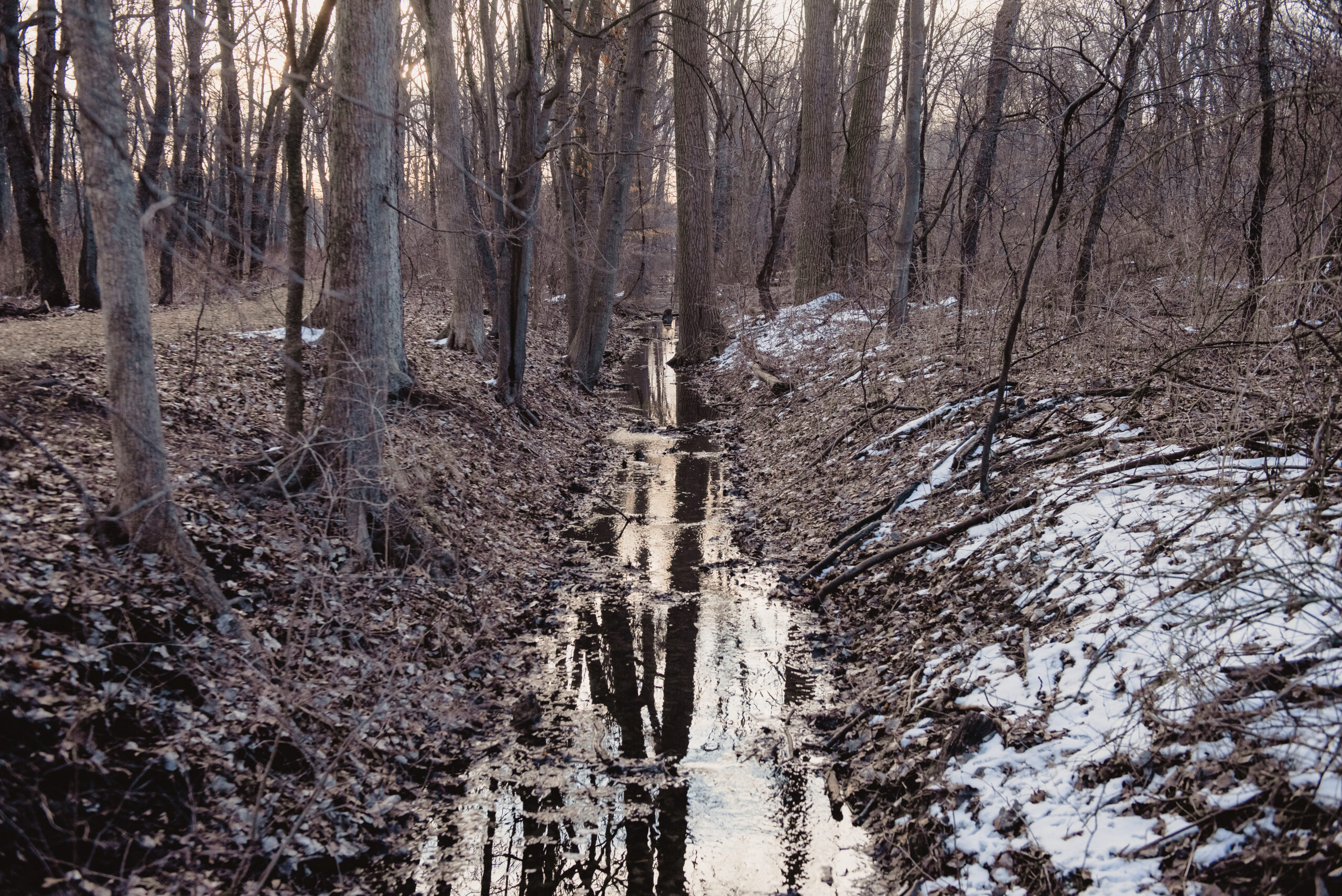 Ojibway National Urban Park: A stream of waterway in the park.