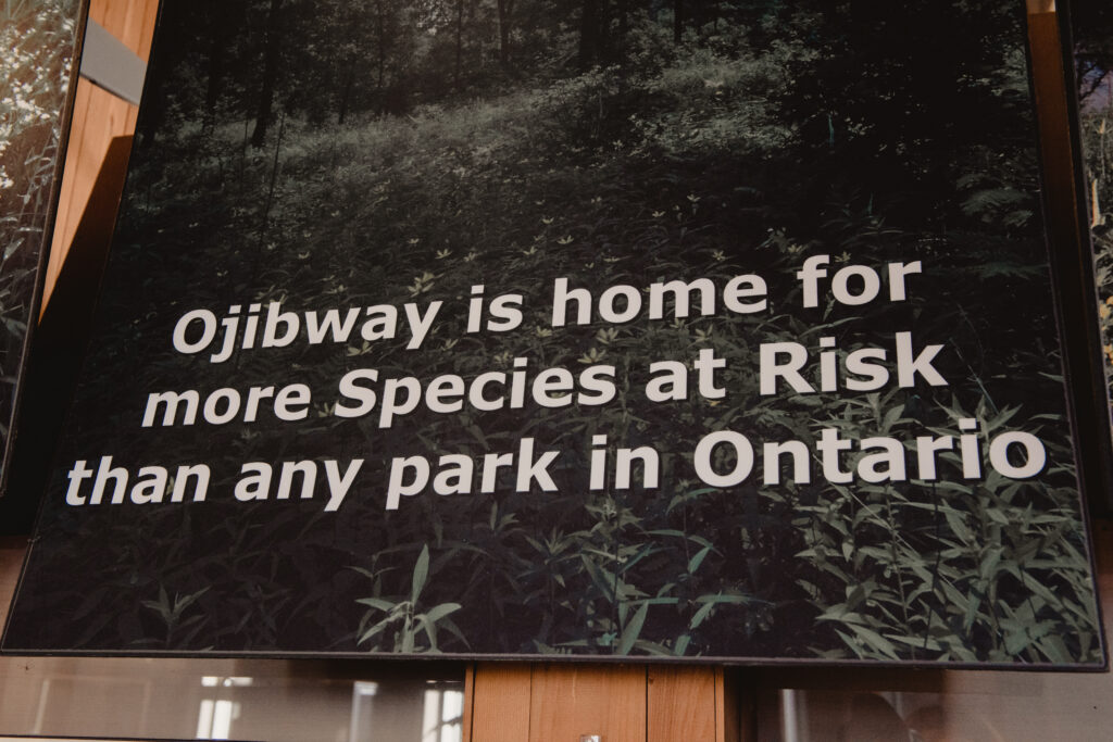 Ojibway National Urban Park: A sign that reads "Ojibway is home for more Species at Risk than any park in Ontario."