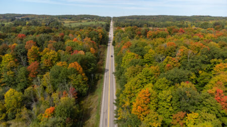 A road through a forest with fall foliage