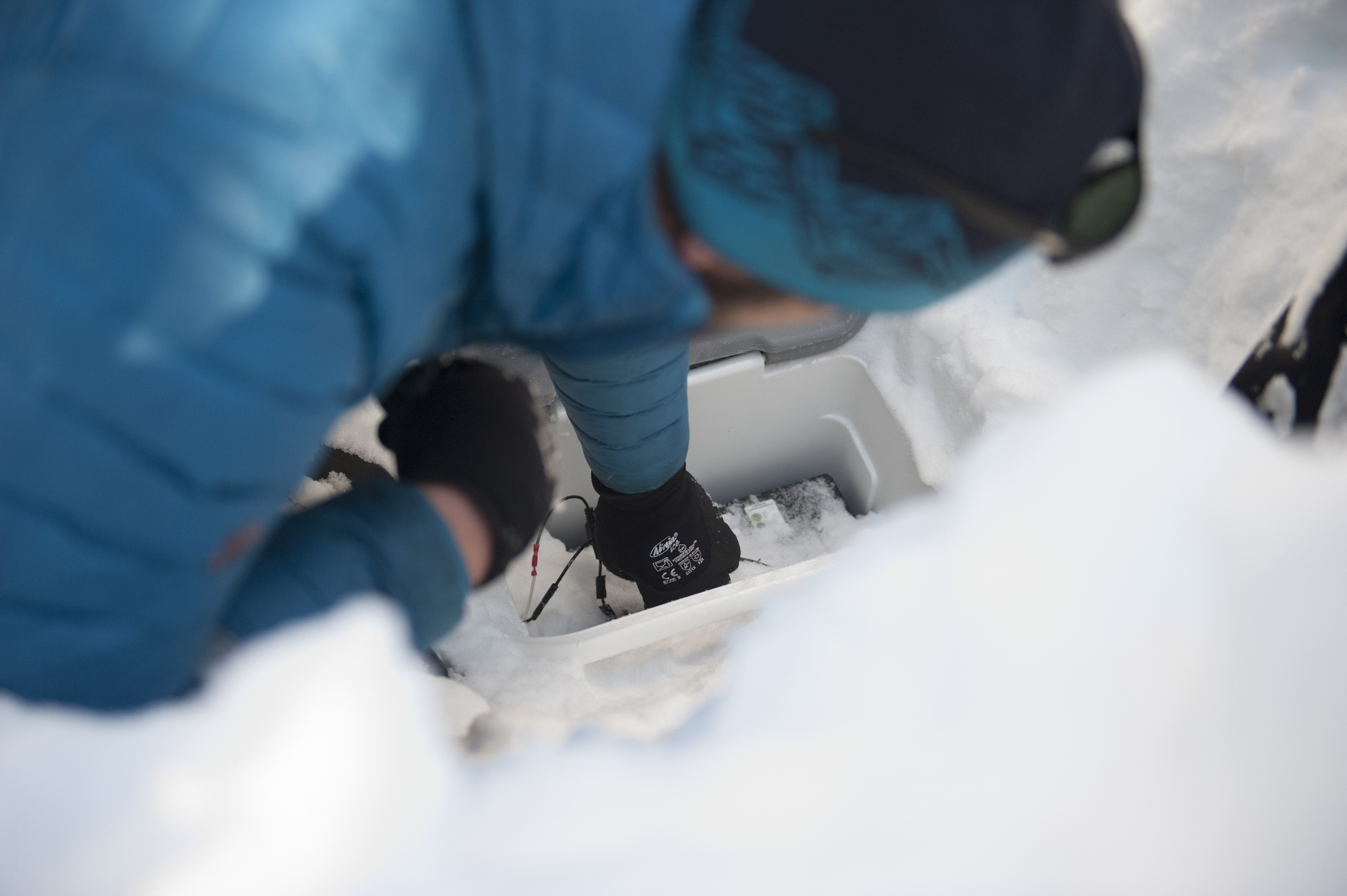 A biologist checks equipment buried in the snow