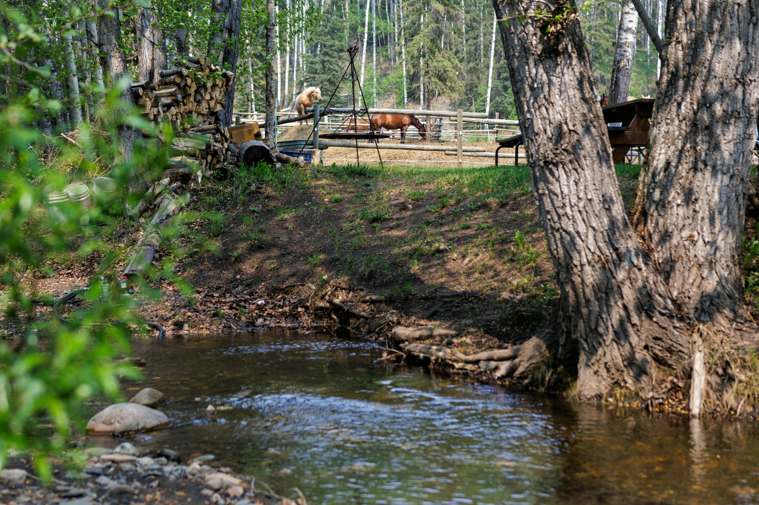 A creek with horse corral in the background