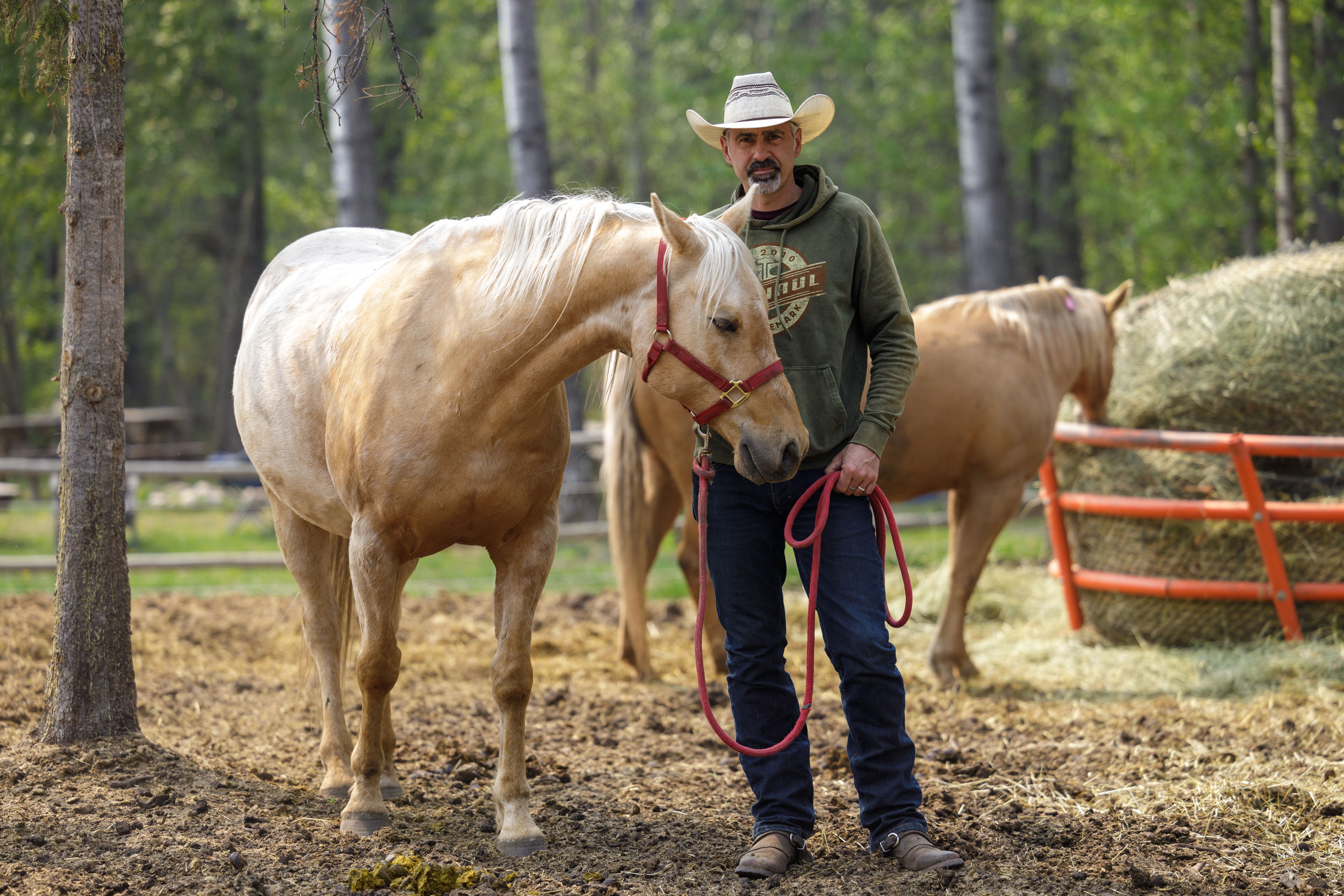 Man in cowboy hat poses with a horse in a corral near Grande Cache, Alta.