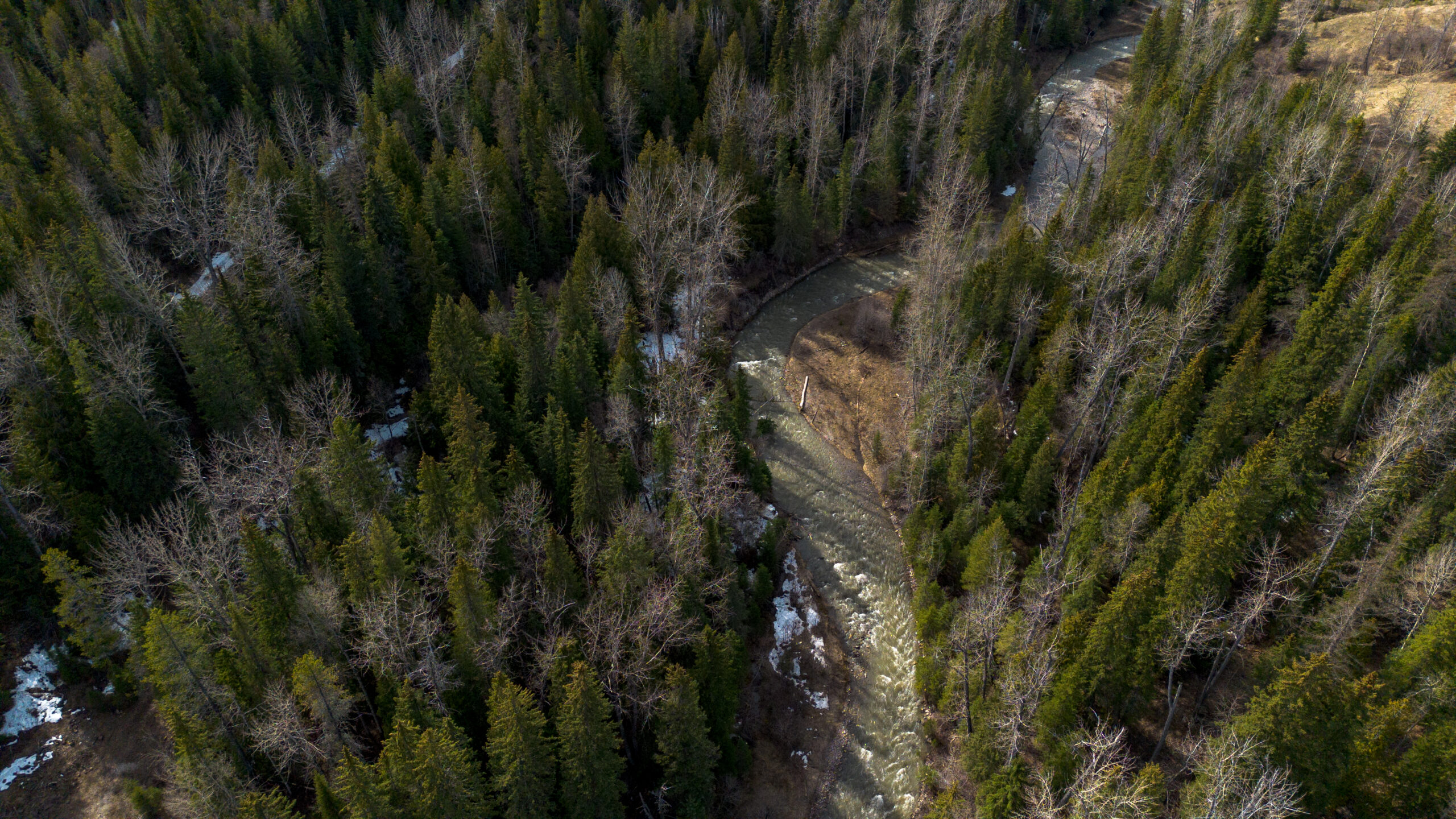 An aerial photo of a creek with forest on either side