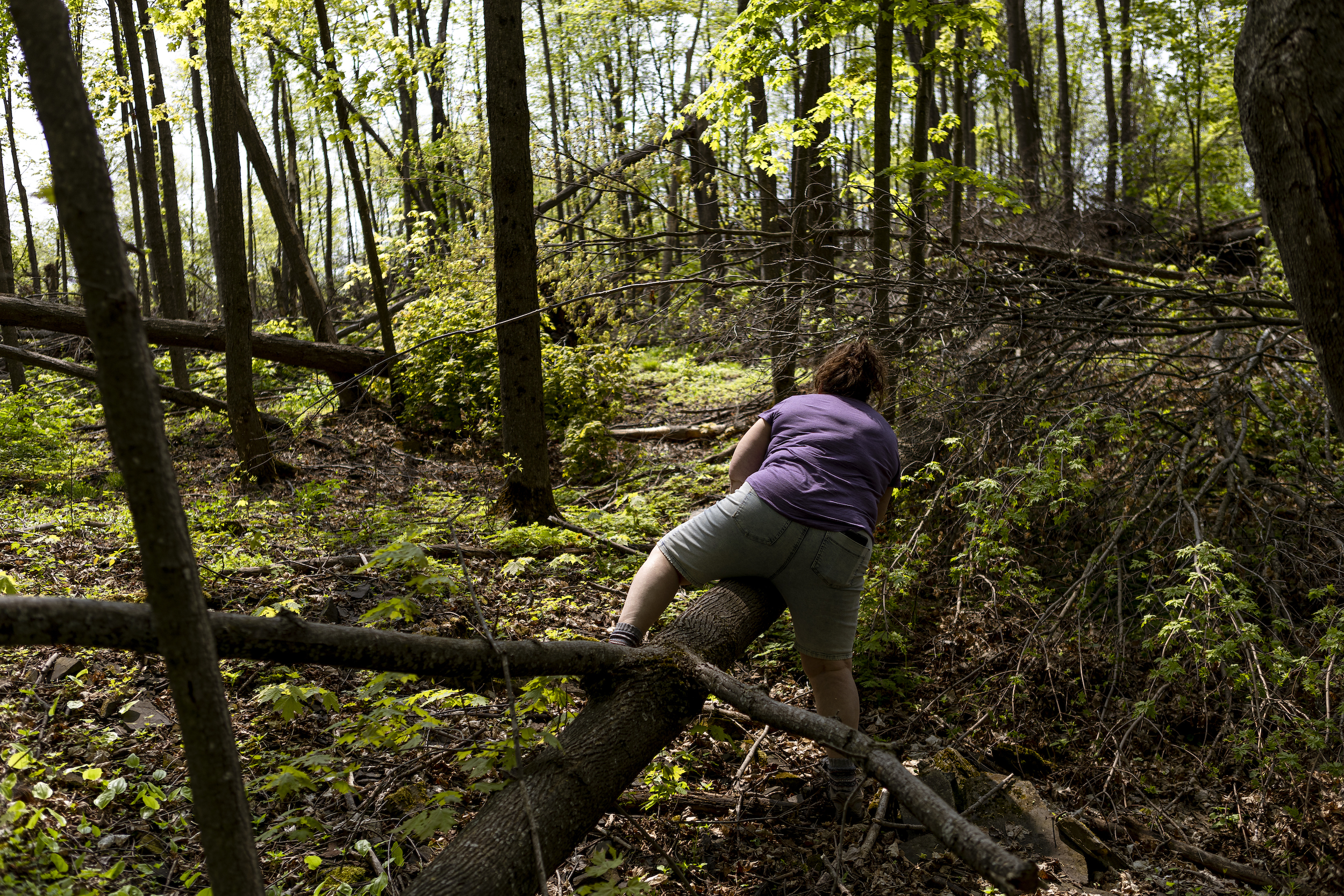 Nearly a year after the July 24 tornado, the forest on Jacqueline Muccio’s property is still littered with heaps of trunks splayed in every direction and craters from uprooted trees.