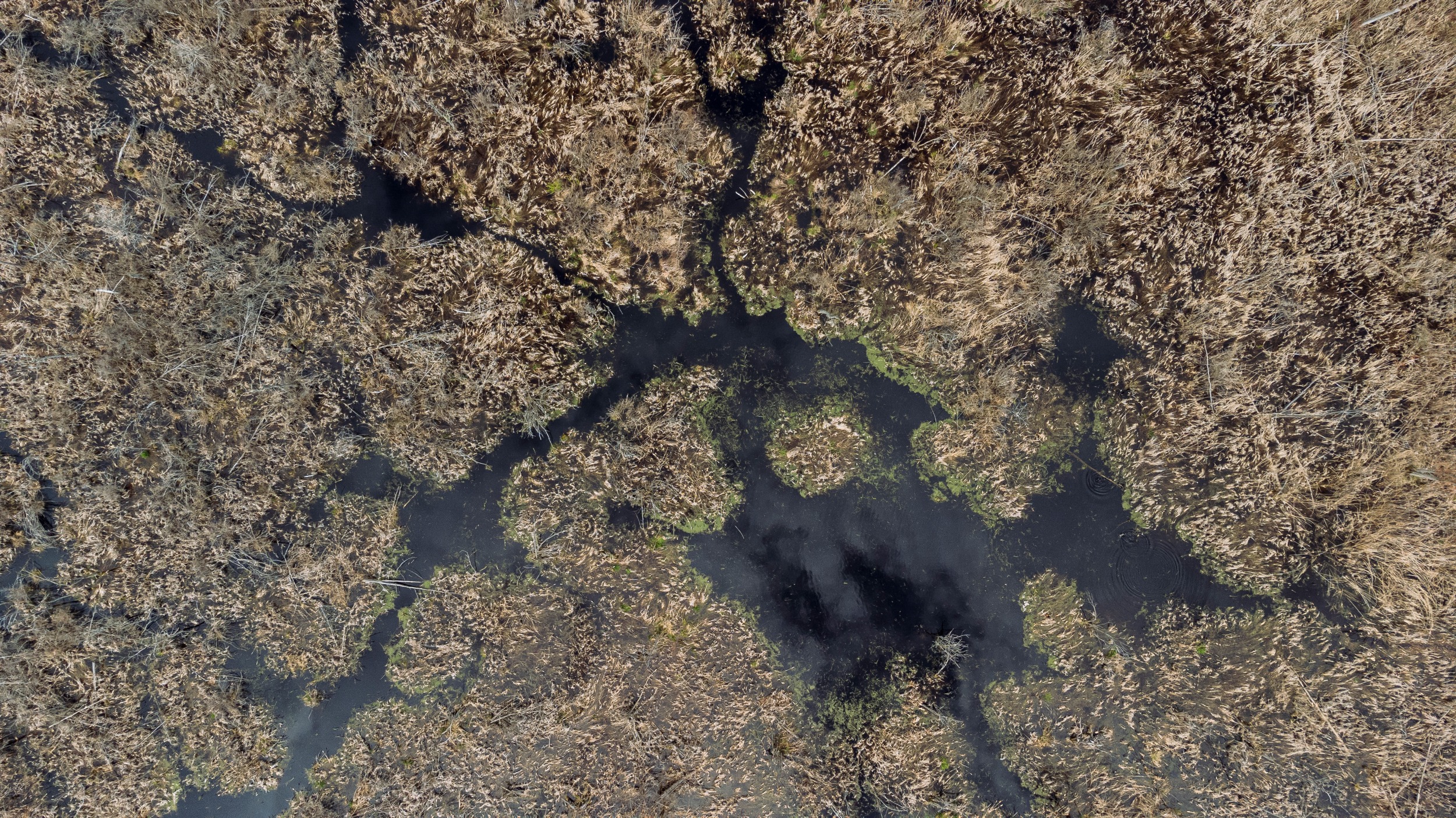 Ontario Greenbelt: wetlands seen from above